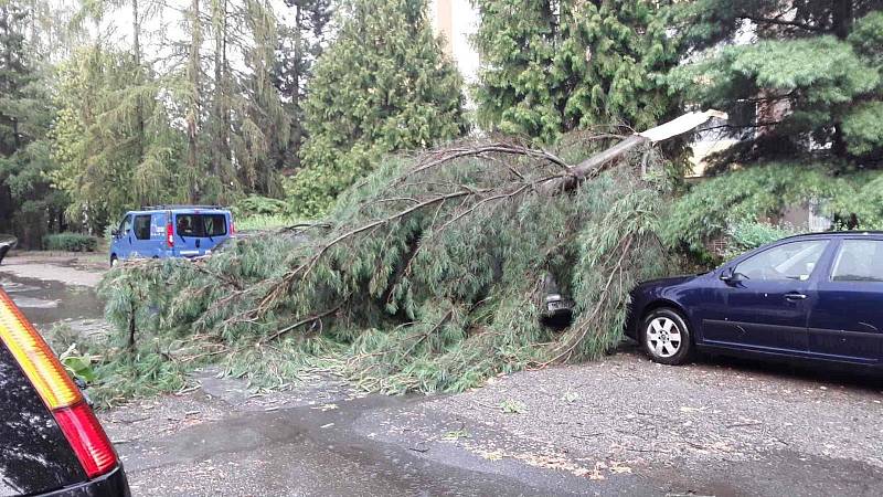 Prostějov v pátek postihla smršť spojená s prudkým deštěm. S následky se na mnoha místech města potýkali hasiči.