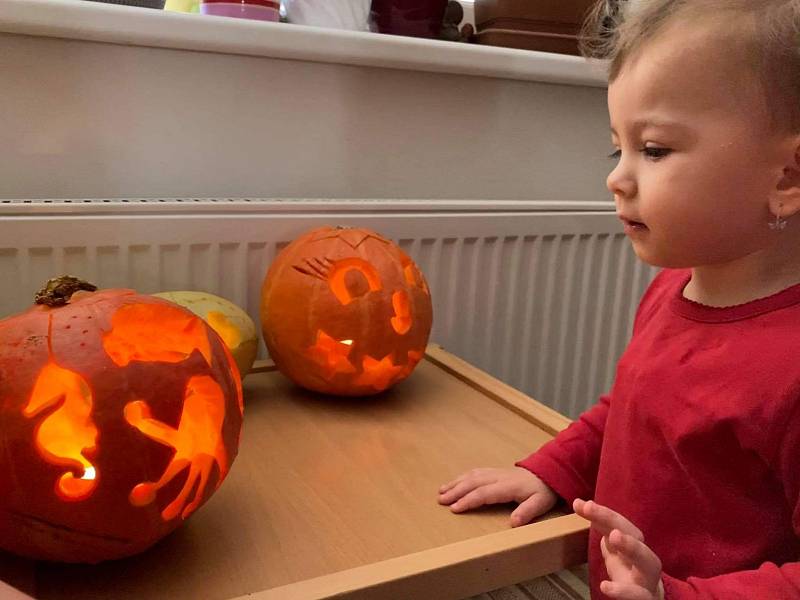 Halloweenské dýně a podzimní výzdoba