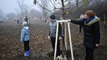 Východní část Prostějova, takzvaný cvikl v Čechůvkách, se stal místem kde se premiérově uskutečnila komunitní výsadba stromů. 13.11. 2021