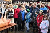 Tradiční masopustní veselí ovládlo v sobotu 10. února centrum Prostějova. 10.2. 2024