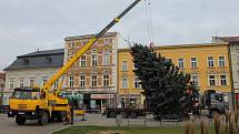 V pondělí po desáté hodině dorazil na náměstí TGM vánoční strom. Tentokrát centrum města zkrášlí smrk z Brodku u Konice.