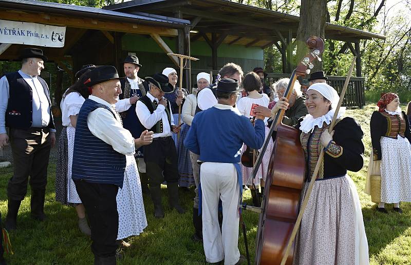 Parta pivínských recesistů si při tradičním sečení trávy zazpívala i zatančila. 29.5. 2021