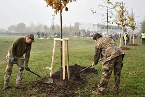 Další pokračování komunitního sázení u soutoku bavilo děti i dospělé. Poblíž říček Romže a Hloučela roste od soboty dalších 14 stromů.