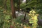 Rozvodněná řeka Hloučela v Hamrech na Prostějovsku na druhém povodňovém stupni - 15. 10. 2020 ráno
