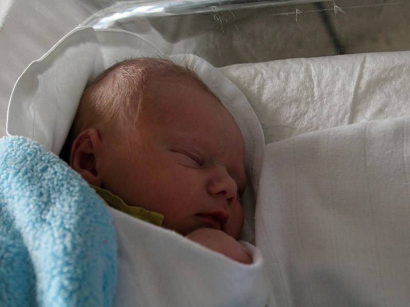 Jan Jurin, Kralice na Hané, narozen: 30.11. 2018, 51cm, 3300g