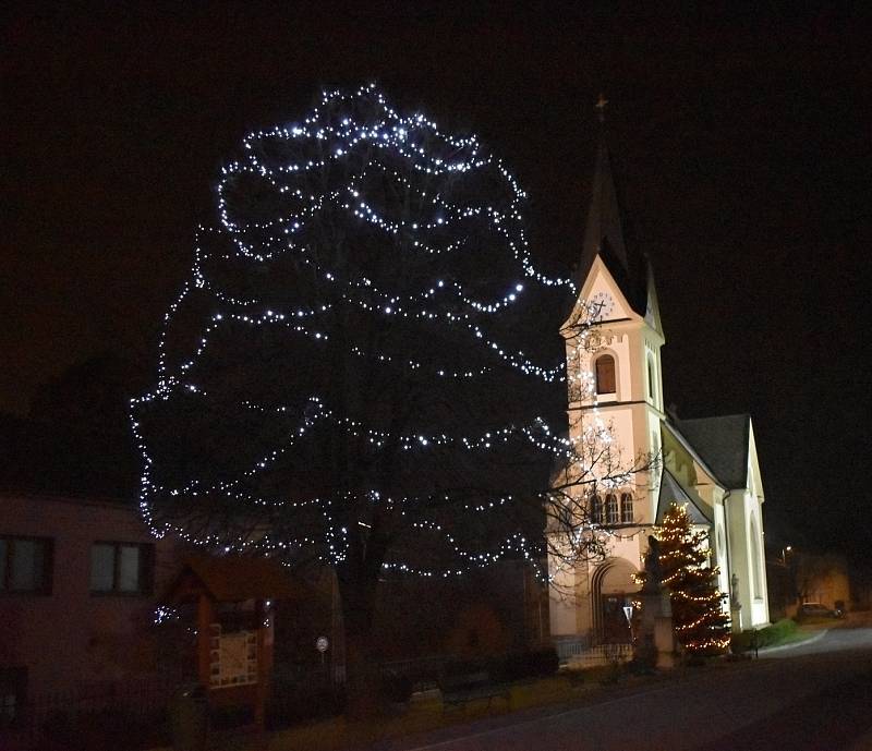 Vánoční strom 2020 v Držovicích