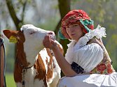 Zlatá farma ve Štětovicích hospodaří na 20 ha a zaměřuje se na chov skotu a výrobu mléčných produktů.
