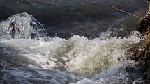 Rozvodněný Žbánovský potok