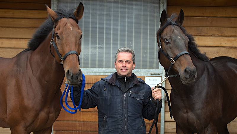 Koně trenéra Stanislava Popelky z Hvozdu u Prostějova se chystají na Velkou pardubickou.Vlevo Mahony, vpravo Stretton, uprostřed trenér Stanislav Popelka.