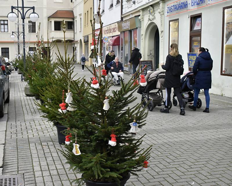 Tradice děti baví. Prostějovské náměstí T. G. Masaryka lemují desítky malých vánočních smrčků. 22.11. 2022