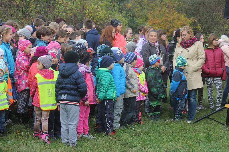 Alej malého Noe vznikla na staré cestě k přehradě v Plumlově