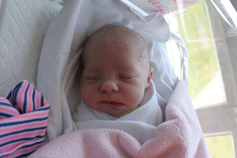 Viktorie Mihalová, Prostějov, narozena 24. května 2019 v Prostějově, míra 46 cm, váha 2400 g