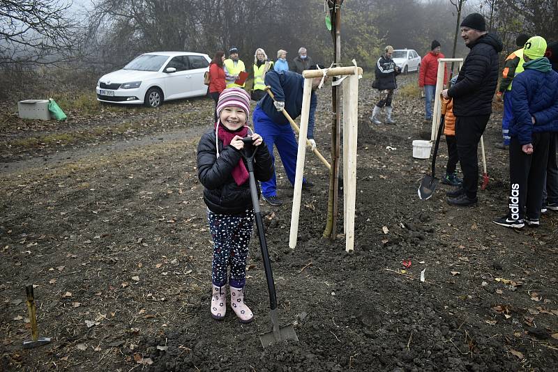 Východní část Prostějova, takzvaný cvikl v Čechůvkách, se stal místem kde se premiérově uskutečnila komunitní výsadba stromů. 13.11. 2021