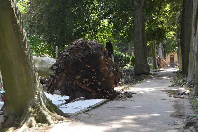 Bouřka zasáhla i prostějovský hřbitov. Popadané stromy zničily přes sedmdesát hrobů.