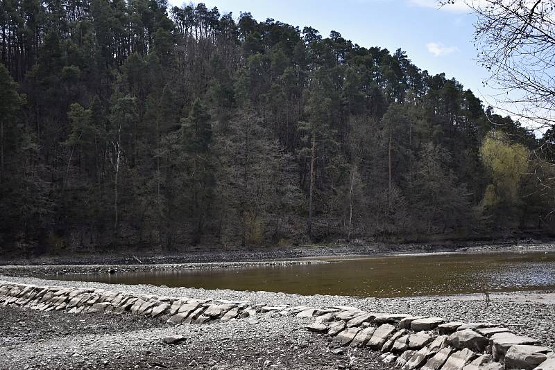 Sedimentační zdrž s mokřadem u vzdutí plumlovské přehrady. 22.4. 2021