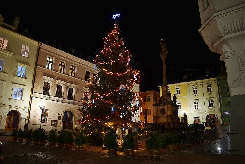 Vánoční strom v Šumperku.