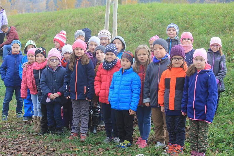 Alej malého Noe vznikla na staré cestě k přehradě v Plumlově