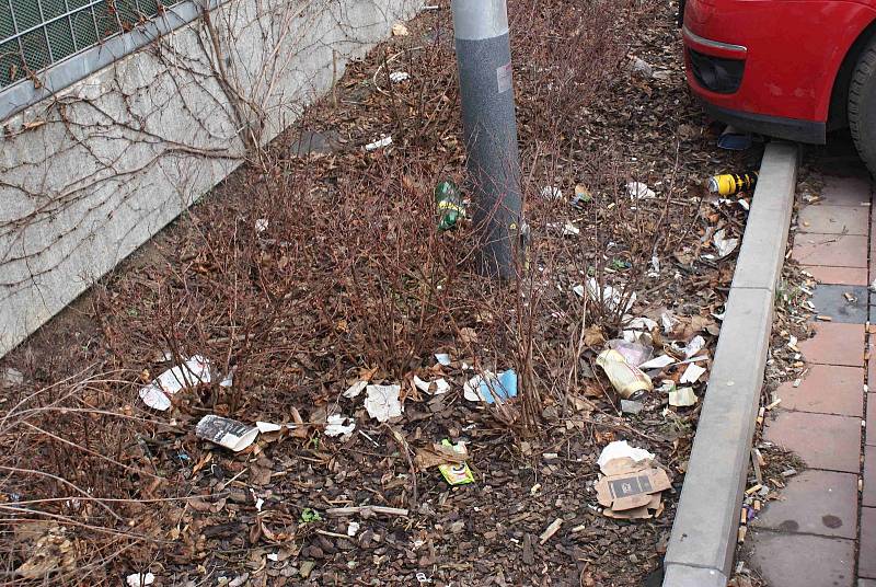Odpadky na záhonku na parkovišti u prostějovského Lidlu na Újezdě - středa 26. 2. 2020