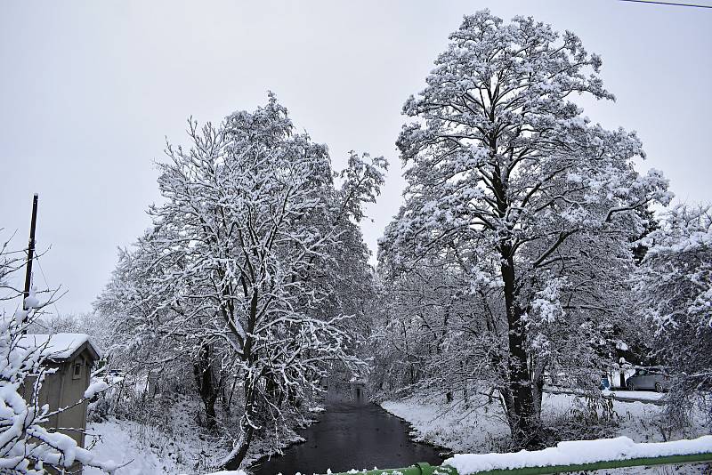 Úchvatné scenérie nabízí zasněžené okolí plumlovské přehrady. 10.12. 2021