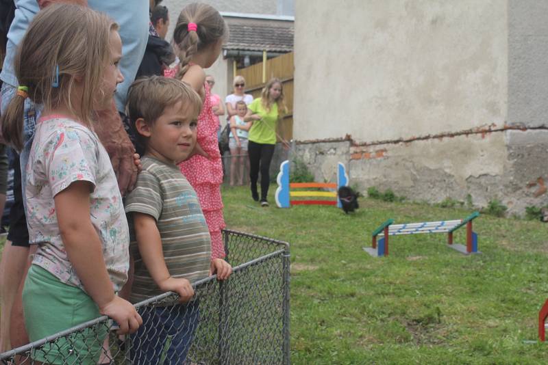 Výstava drobného zvířectva v Plumlově