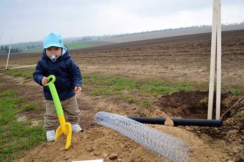 V Pivíně ve spolupráci s Nadací ČEZ vysázeli přes sto stromů.