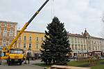 V pondělí po desáté hodině dorazil na náměstí TGM vánoční strom. Tentokrát centrum města zkrášlí smrk z Brodku u Konice.