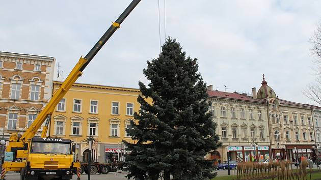 V pondělí po desáté hodině dorazil na náměstí TGM vánoční strom. Tentokrát centrum města zkrášlí smrk z Brodku u Konice.