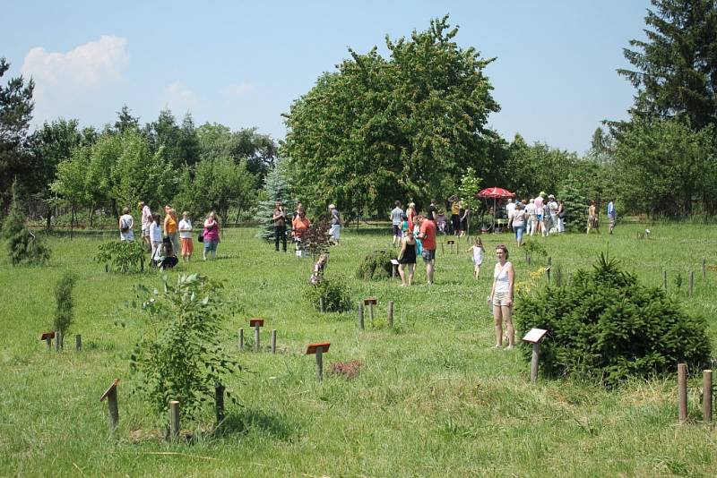 Slavnostní otevření arboreta ve Vrahovicích