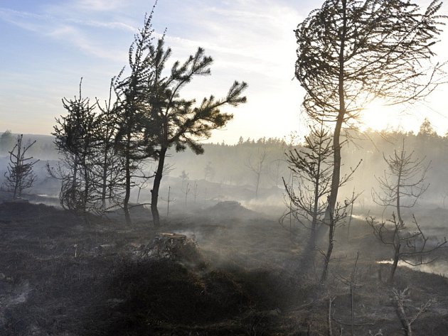 Obří požár lesa v Přemyslovicích