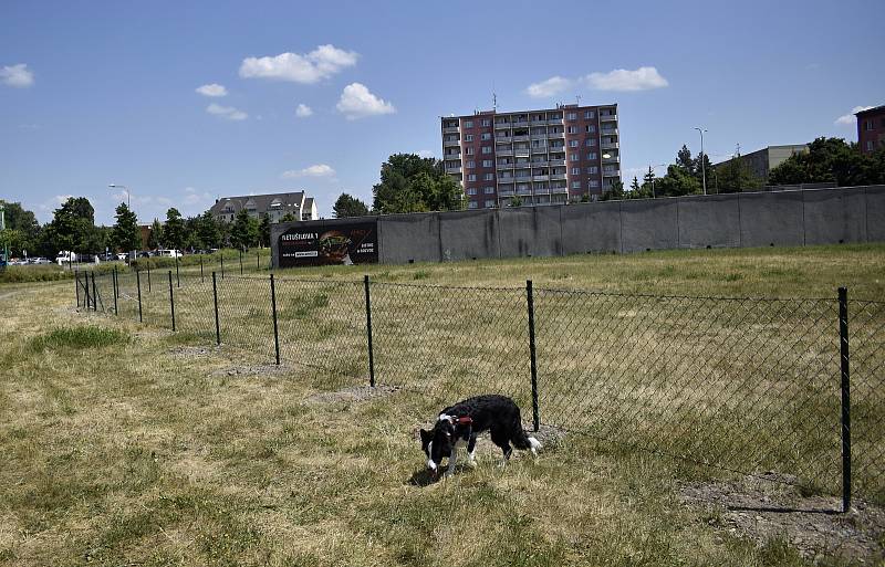 Psí loučku poblíž kruhového objezdu v Plumlovské ulici už ohraničuje zelený plot. 24.6. 2021