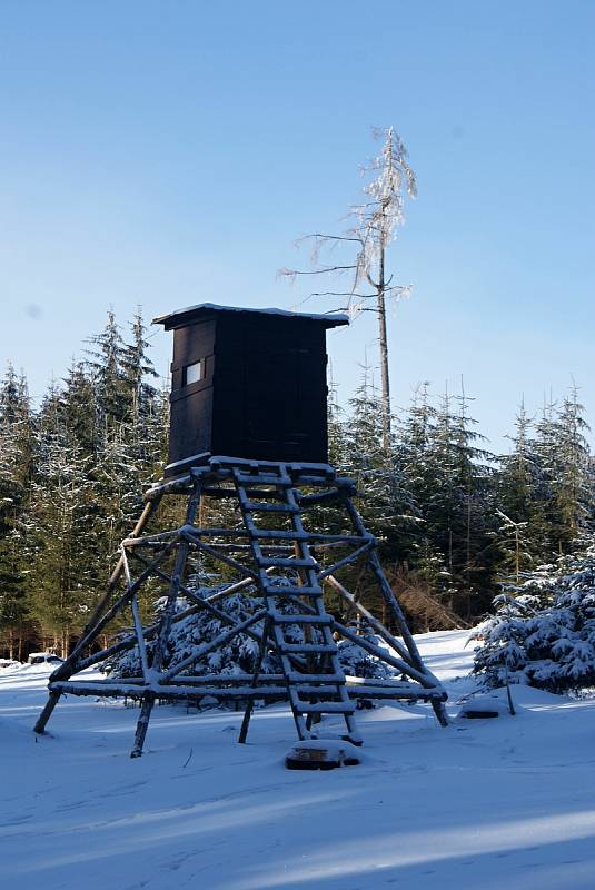 Zima u pramene Luhy a na nejvyšších partiích Drahanské vrchoviny - 15. 2. 2021