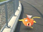 Pokémony je možné chytat všude možně na Prostějovsku. Například na Plumlovské přehradě.