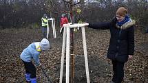 Východní část Prostějova, takzvaný cvikl v Čechůvkách, se stal místem kde se premiérově uskutečnila komunitní výsadba stromů. 13.11. 2021