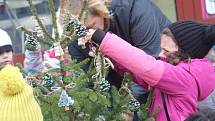 Stejně jako vloni i letos zdobily děti z mateřských a základních škol mini vánoční stromečky na náměstí TGM v Prostějově.