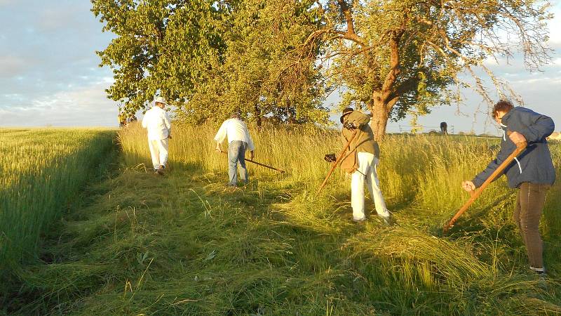 Sečení trávy v Pivíně 2020