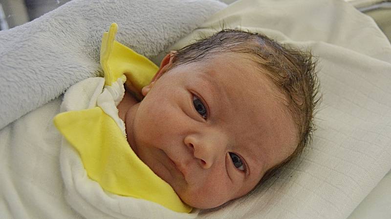 Oliver Navrátil, Vřesovice, narozen 24. ledna v Prostějově, míra 50 cm, váha 3000 g
