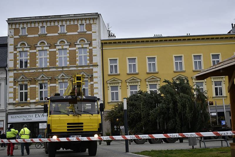 Instalace vánočního stromu na prostějovské náměstí T. G. Masaryka, pondělí 22.11. 2021