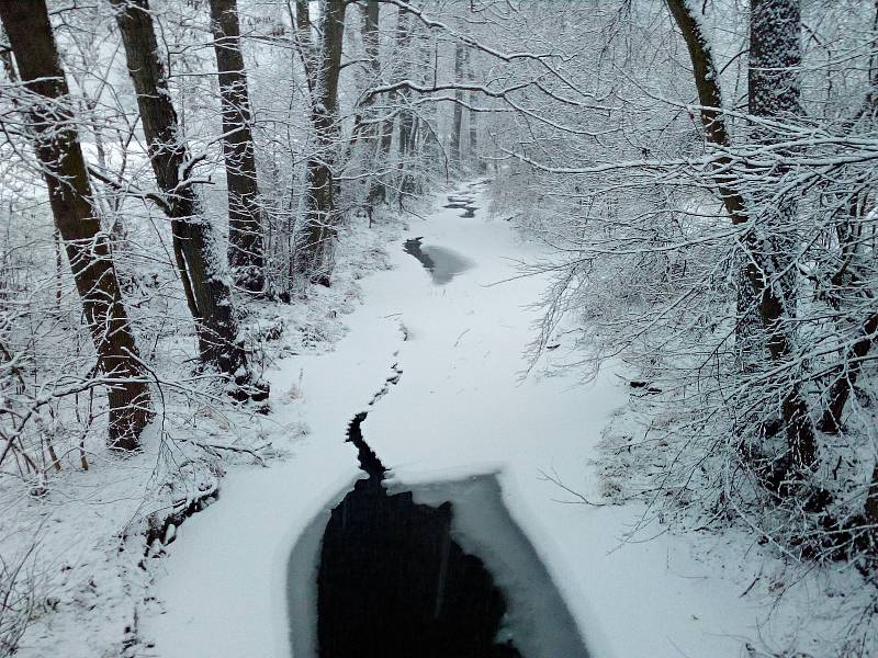 Sněhová nadílka na Plumlovsku - 28. 1. 2019