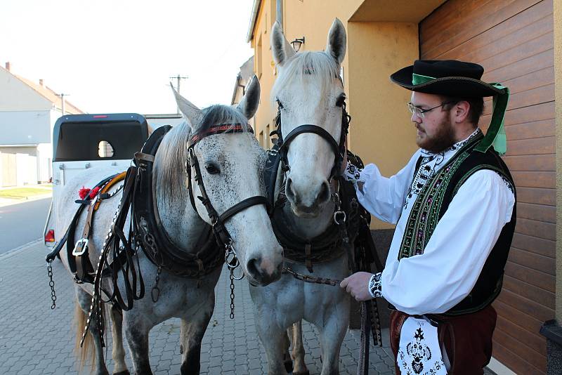 Krojovaný mrskut v Kralicích na Hané