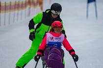 Závody a paraalpském a běžeckém lyžování, snowboardingu a sněžnicích na Lipně.