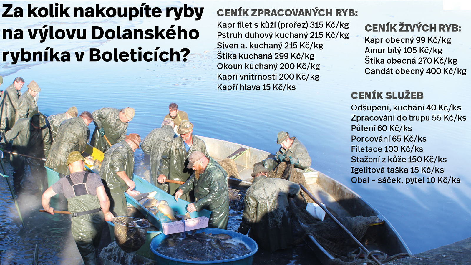 V sobotu je výlov v Boleticích. Kolik tam dáte za ryby a za maso? Podívejte  se - Českokrumlovský deník