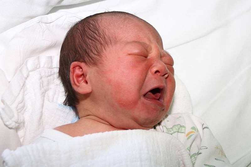 Holčička Hai Yen Hoang se narodila v českokrumlovské porodnici ve středu 26. srpna 2015 ve čtyři hodiny ráno, měřila 48 centimetrů a vážila 3220 gramů. Rodiče Phuong Nguyen Thi a Hung Vy Hoang tak doma v Českém Krumlově vychovávají už tři dcery.