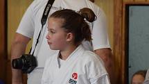 Mikulášský turnaj, poslední z letošní série turnajů Jihočeského svazu japonského karate, pořádal českokrumlovský Shotokan karate klub.