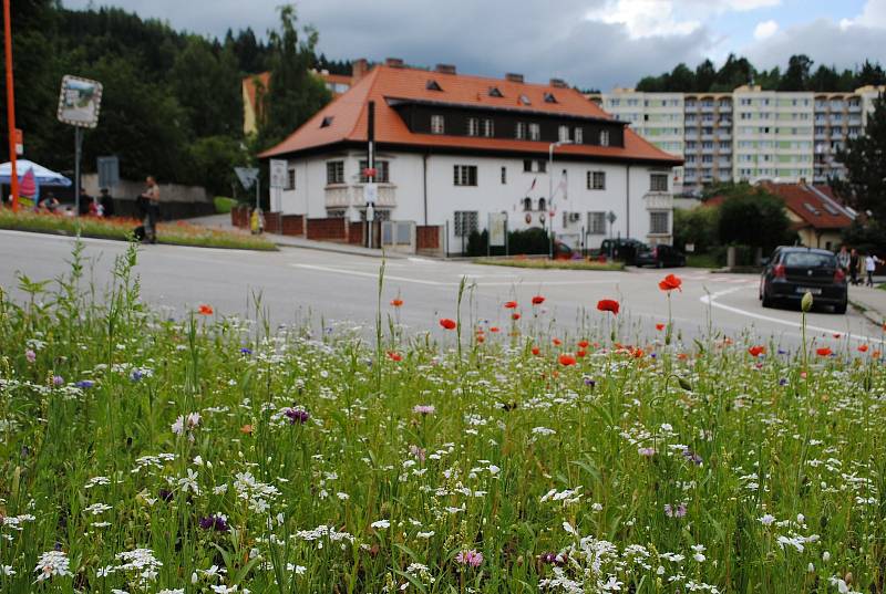 Květnaté ostrůvky ve Větřní, zářící všemi barvami, zdobí centrum města.