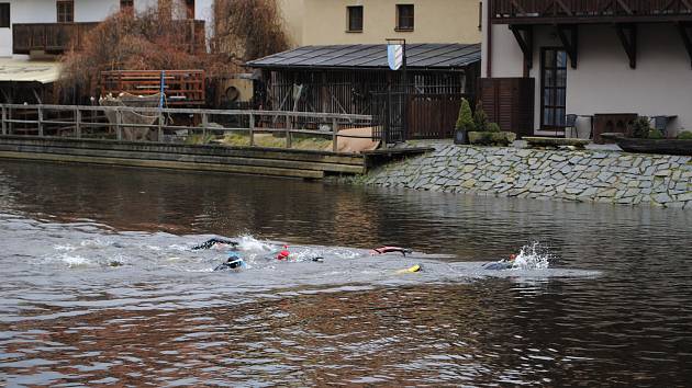 Krumlovští vodní záchranáři si vychutnali tradiční předvánoční plavání ve Vltavě.