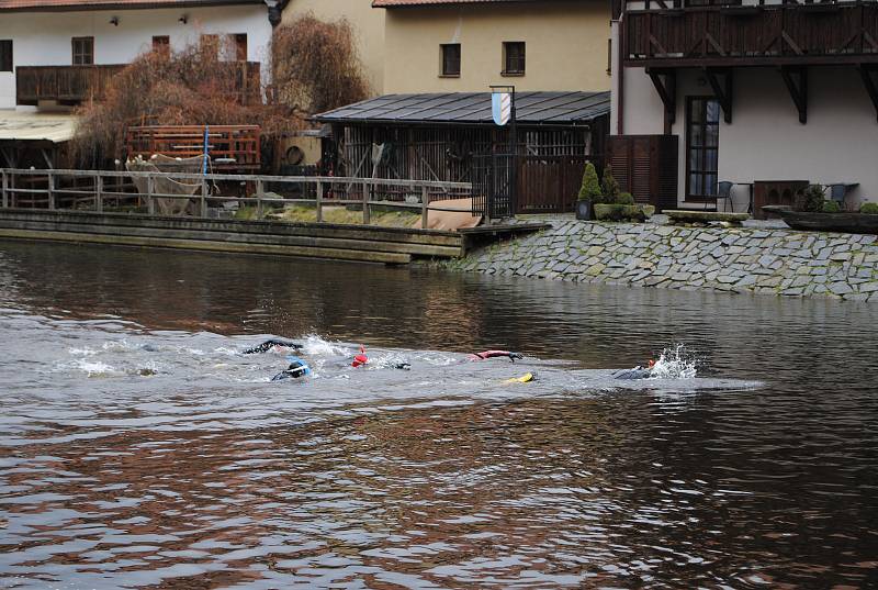 Krumlovští vodní záchranáři si vychutnali tradiční předvánoční plavání ve Vltavě.