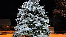 Přední Výtoň. Potěšte se pohledem na vánoční stromy ve městech a obcích regionu.