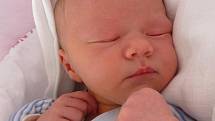 V pátek 5. února 2016 v 16:15 se Haně a Karlovi Hončíkovým ze Zlaté Koruny narodila Lenka Hončíková. Po porodu, u kterého tatínek asistoval, holčička měřila 50 cm a vážila 3457 g. Doma se na ni moc těšili bráškové - desetiletý Kája a šestiletý Ondra.