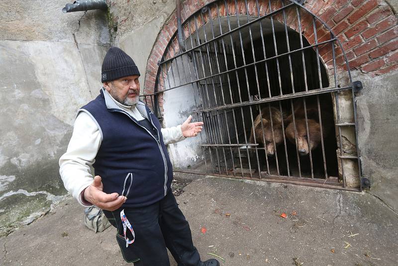 Jan Míša Černý - ošetřovatel medvědů na Zámku Český Krumlov. Věnuje se jim již 45 let,