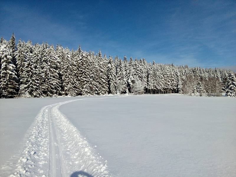 Ze šumavského okruhu Borová Lada - Knížce Pláně - Bučina - Kvilda - Borová Lada.